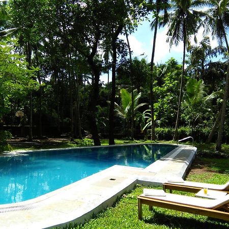 Botanique Goa Hotel Assagao Exterior photo